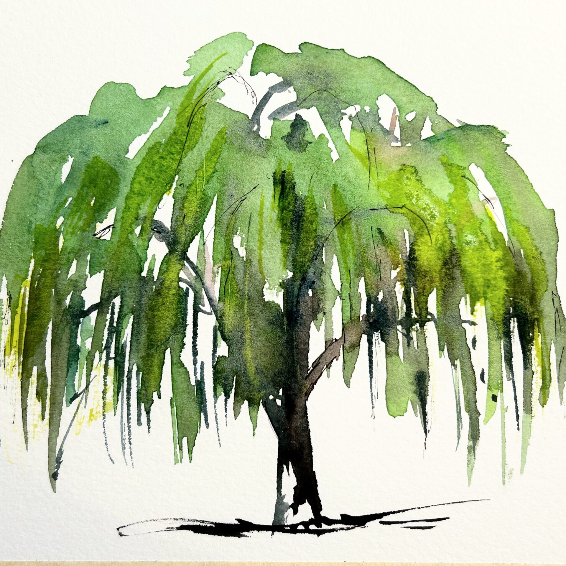 Watercolor by Kas Rohm: Keep it Loose--Painting Trees!