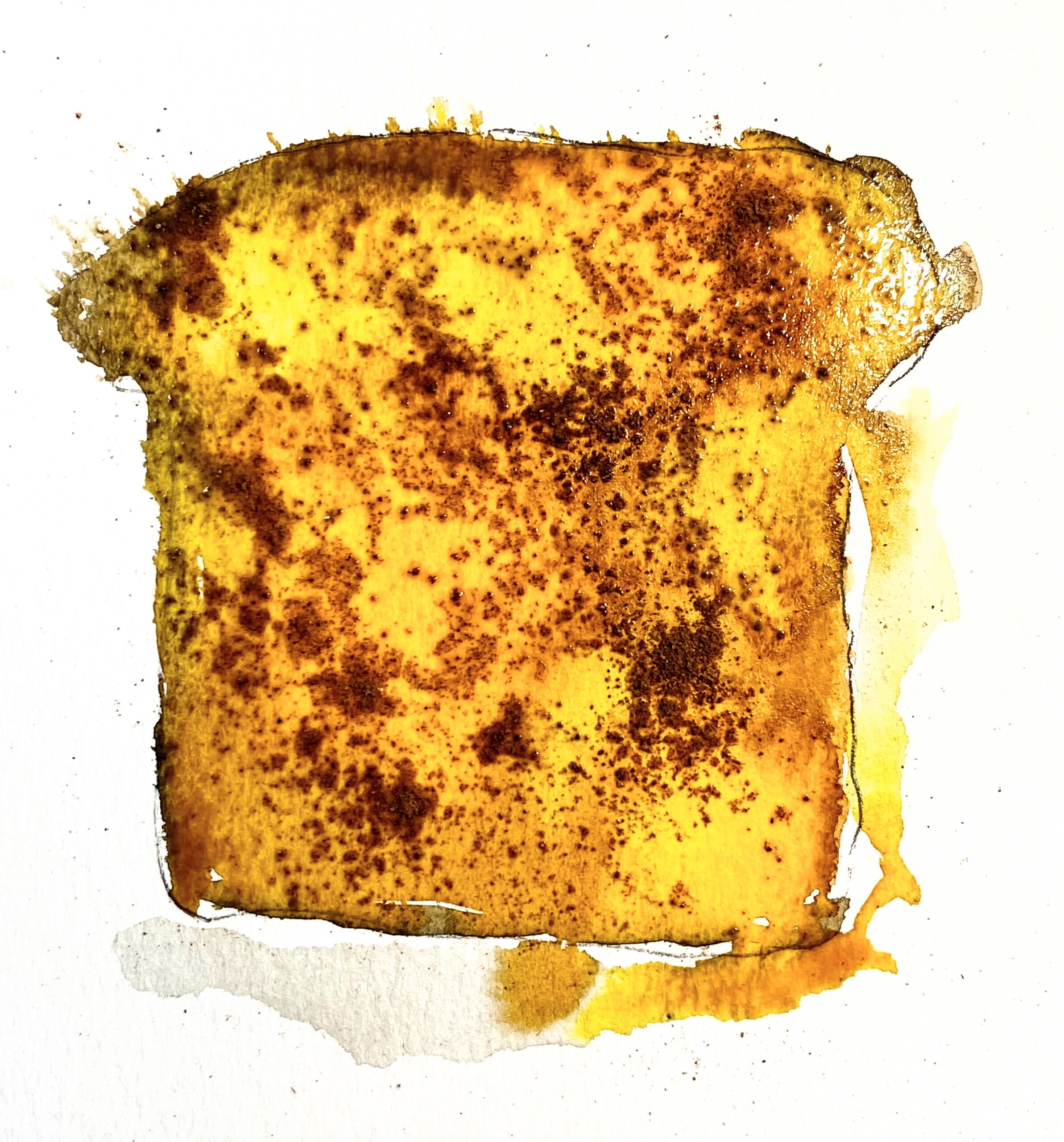 Watercolor Brunch and Brush With Kas Rohm: $75 (includes $15 material fee)