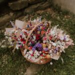 Growing a Dried Flower Garden with Spore and Seed