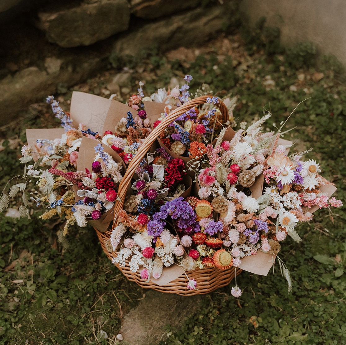 Growing a Dried Flower Garden with Spore and Seed