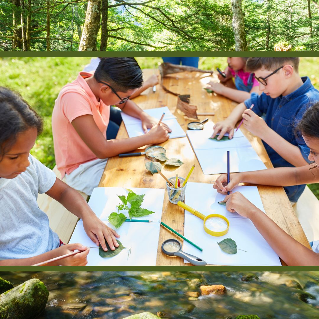 Manor Mill Art Camp: Ages 7-14 (July 14 - July 18)