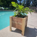 Beginner Woodworking with Tom Parmelee: Planter