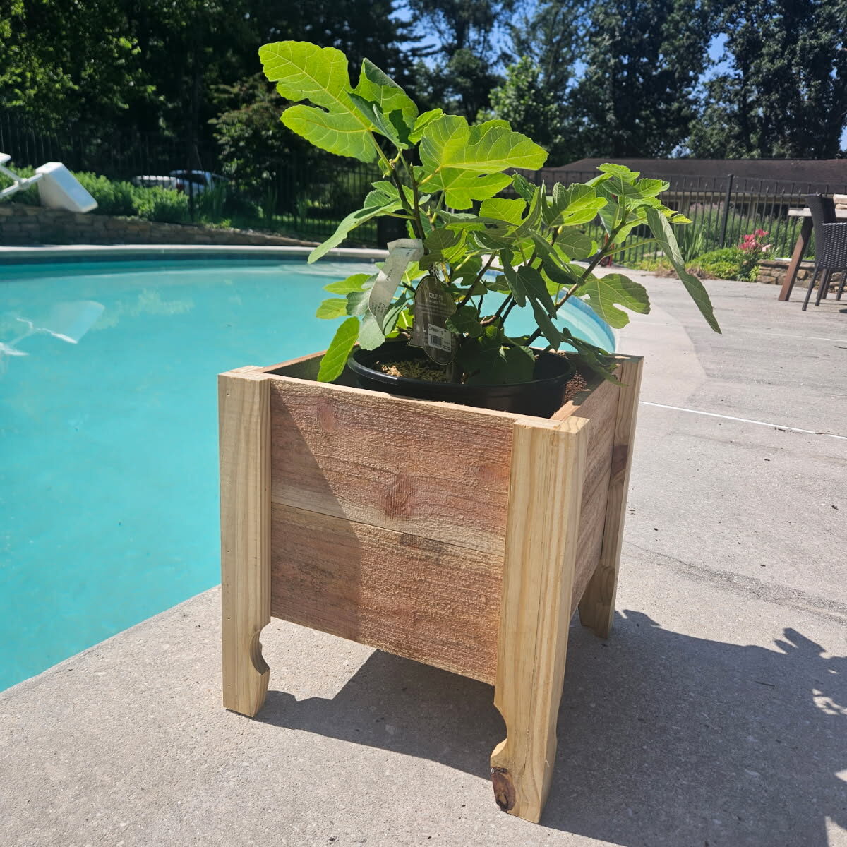 Beginner Woodworking with Tom Parmelee: Planter