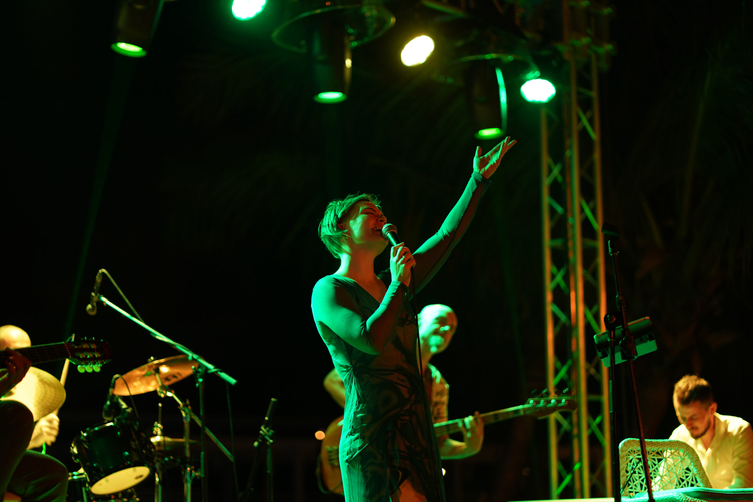 Emily Perkins & Hot Club of Baltimore Quartet