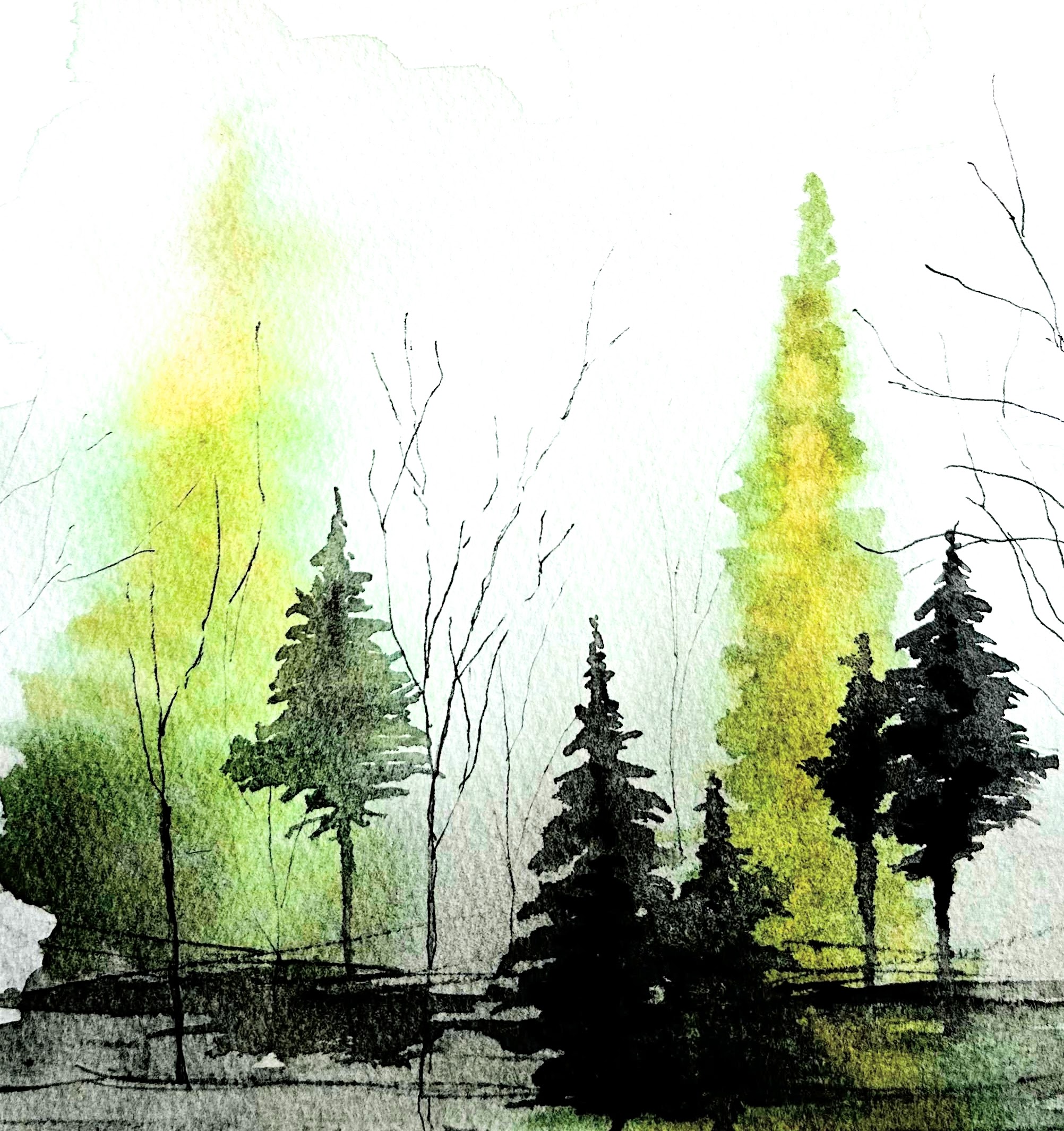 Watercolor by Kas Rohm: Misty Forest Landscape