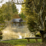 Photography in the Garden: Digital Photography Class at Tashiding Gardens