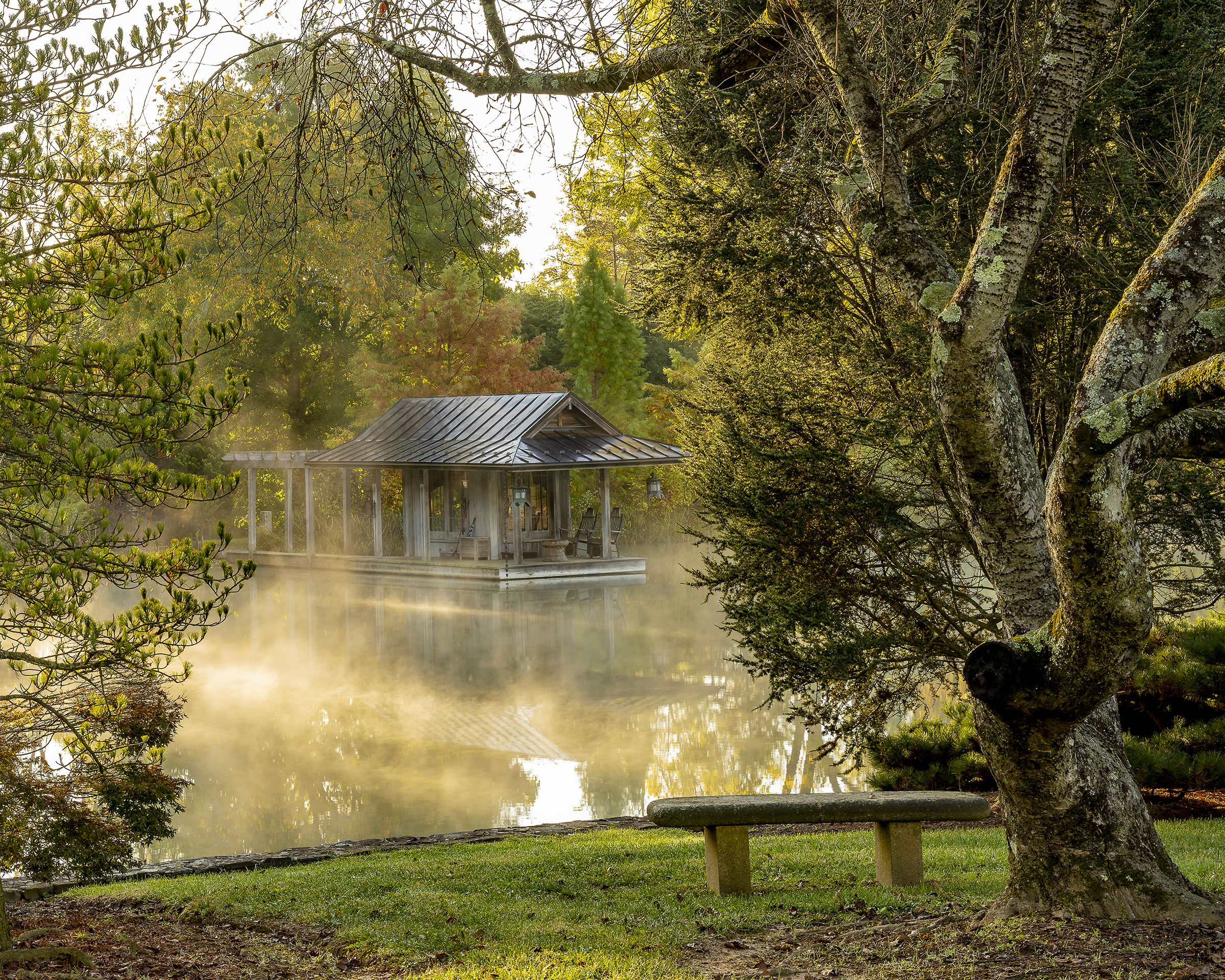 Photography in the Garden: Digital Photography Class at Tashiding Gardens