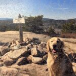 Create your own Wooden Jigsaw Puzzle with Tavi Harwood